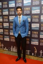 Saqib Saleem at SIIMA Awards 2016 Red carpet day 2 on 1st July 2016